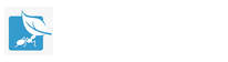 维本智科